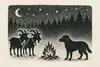 Nattens magiska ljud