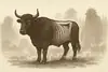 Oxen och trollen