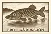 Gäddan i Brötegårdssjön