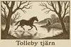 Trolleby tjärn och dulden
