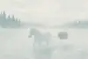 Näcken vid Dettern