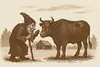 Tomten och Oxen