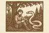 Visdomens väg i skogen